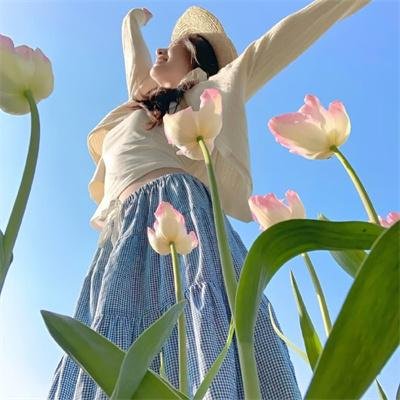 神舞飞扬 海报