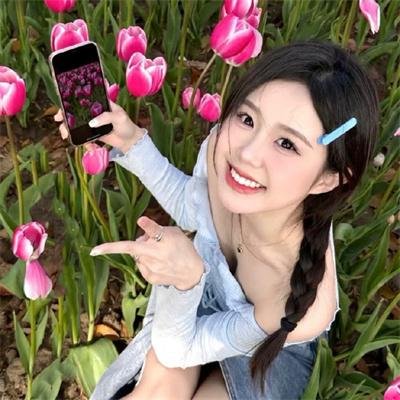 追鹰日记 海报